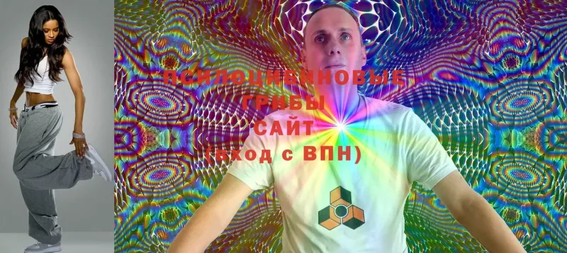 Галлюциногенные грибы Cubensis  Гороховец 